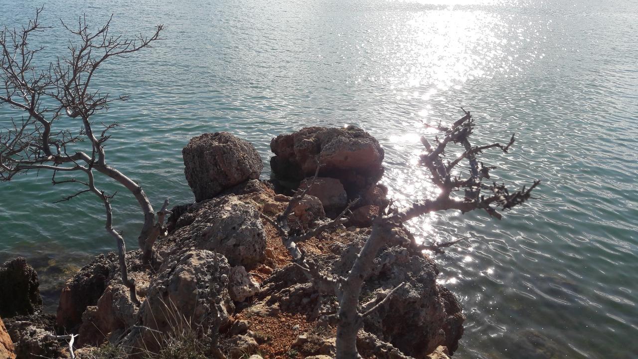 Apartments Cico Starigrad Paklenica Eksteriør bilde