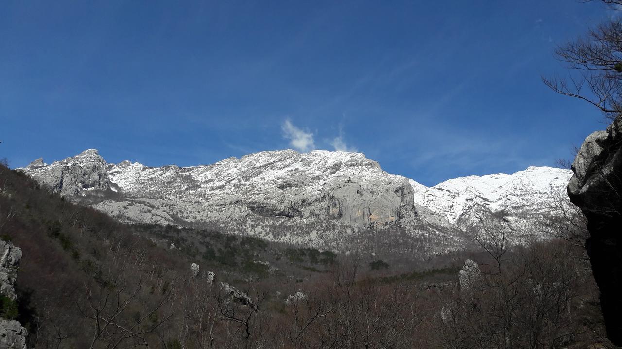 Apartments Cico Starigrad Paklenica Eksteriør bilde
